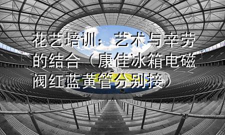 花艺培训：艺术与辛劳的结合（康佳冰箱电磁阀红蓝黄管分别接）