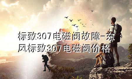 标致307电磁阀故障-东风标致307电磁阀价格