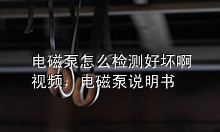 电磁泵怎么检测好坏啊视频，电磁泵说明书