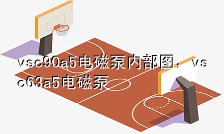 vsc90a5电磁泵内部图，vsc63a5电磁泵