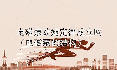 电磁泵欧姆定律成立吗（电磁泵的结构）