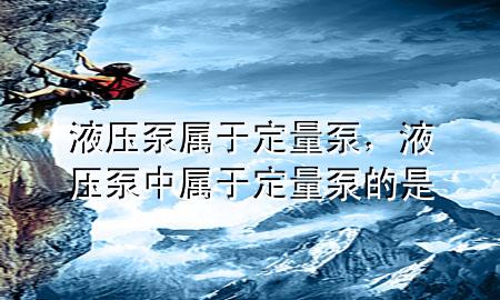 液压泵属于定量泵，液压泵中属于定量泵的是