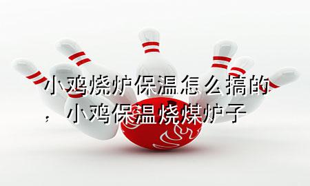 小鸡烧炉保温怎么搞的，小鸡保温烧煤炉子