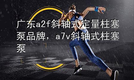 广东a2f斜轴式定量柱塞泵品牌，a7v斜轴式柱塞泵