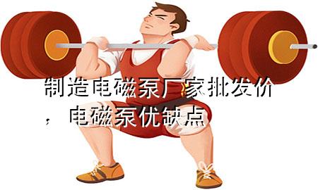 制造电磁泵厂家批发价，电磁泵优缺点