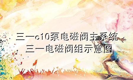 三一c10泵电磁阀主系统，三一电磁阀组示意图