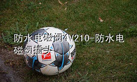 防水电磁阀4V210-防水电磁阀插头