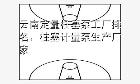 云南定量柱塞泵工厂排名，柱塞计量泵生产厂家