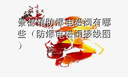 景德镇防爆电磁阀有哪些（防爆电磁阀接线图）