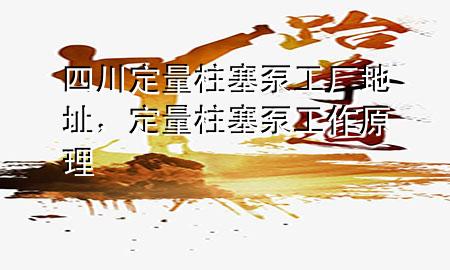 四川定量柱塞泵工厂地址，定量柱塞泵工作原理