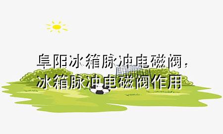 阜阳冰箱脉冲电磁阀，冰箱脉冲电磁阀作用